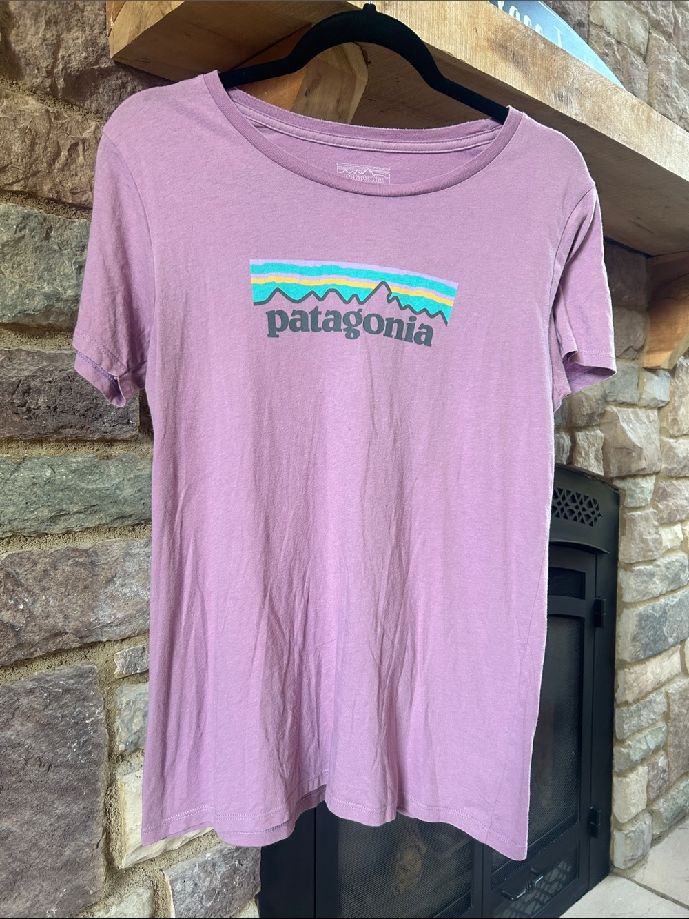 Patagonia Graphic Tee